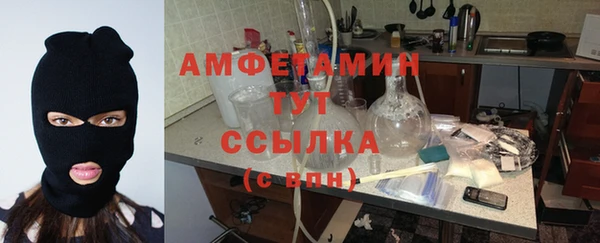 гидра Алексин