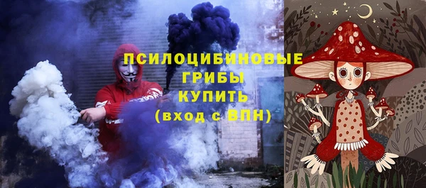 гидра Алексин