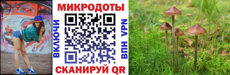 Галлюциногенные грибы мухоморы  цена наркотик  Черкесск 